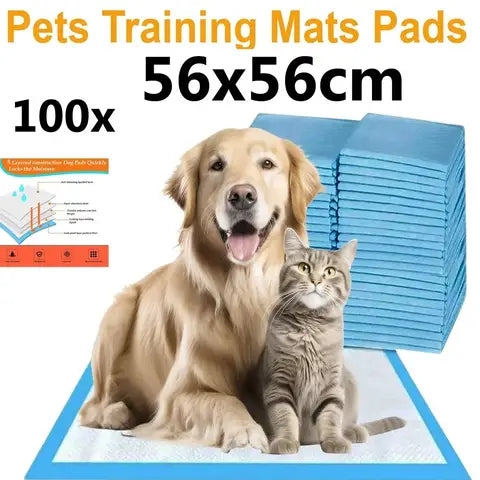 Dry Spell Puppy Training Pads - 100 pack, 56x56cm
