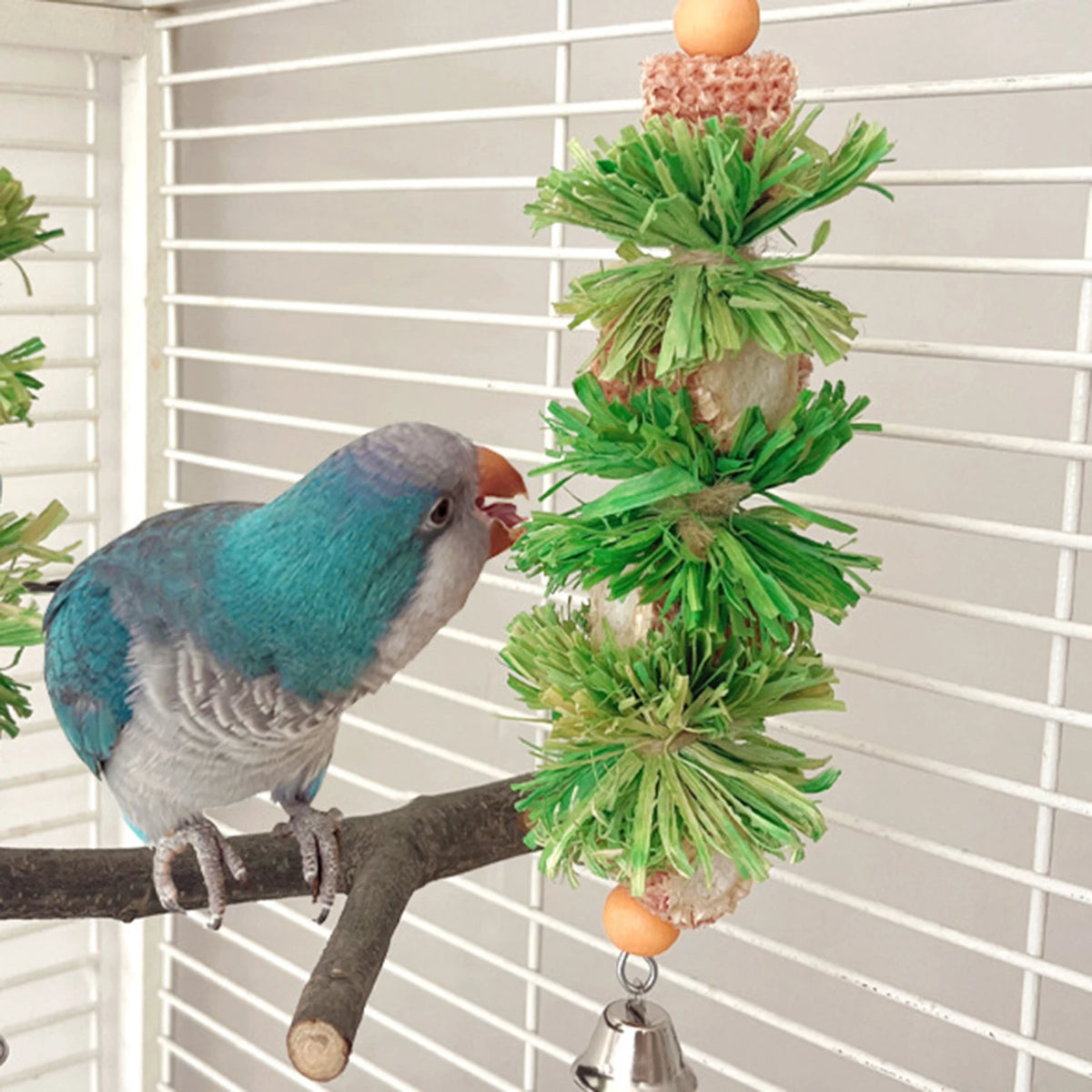 Natural Corn Husk Ball & Cob Foraging Toy — Bird Chew Toy