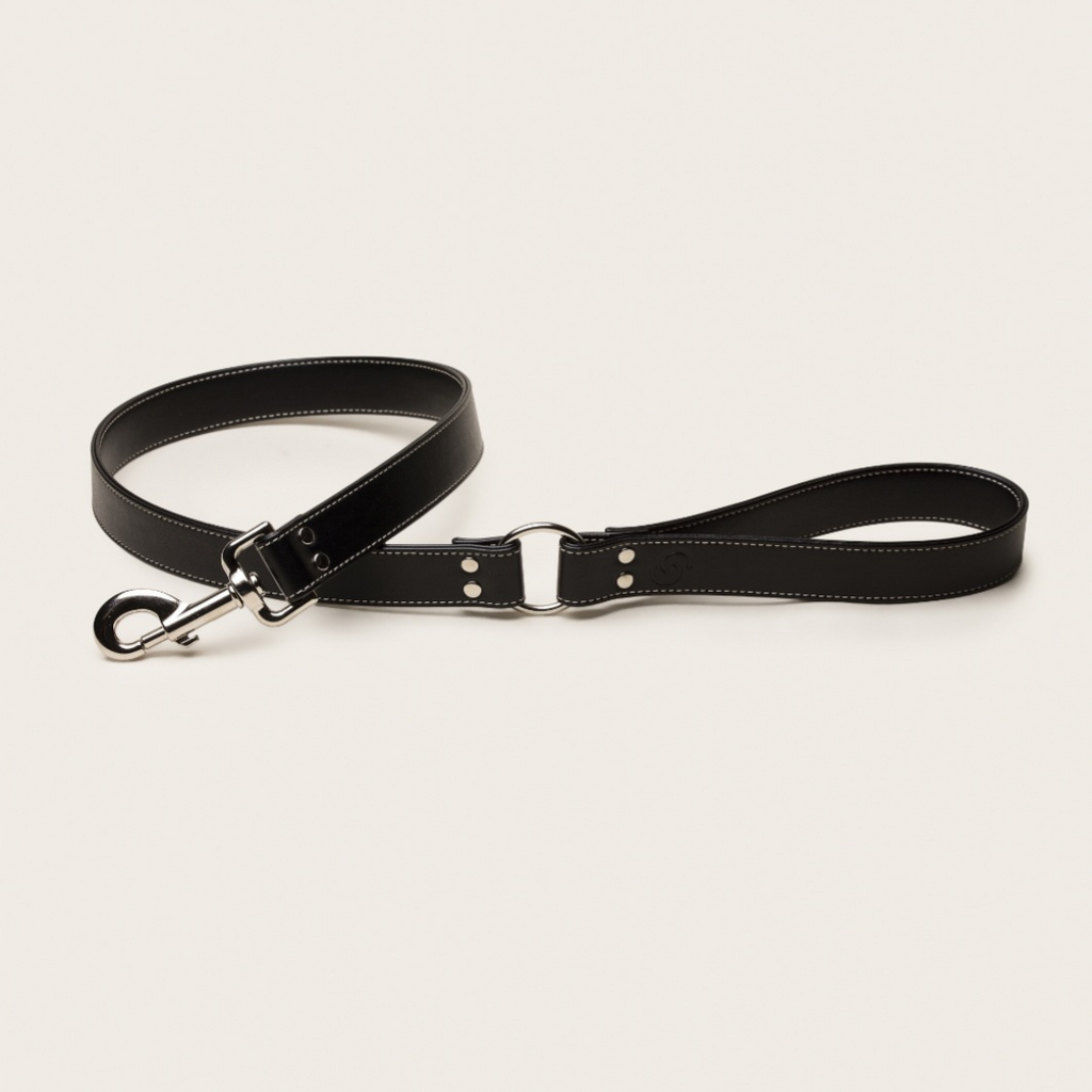 Black Vegan Apple Leather Dog Lead, PETA-approved vegan leather lead
