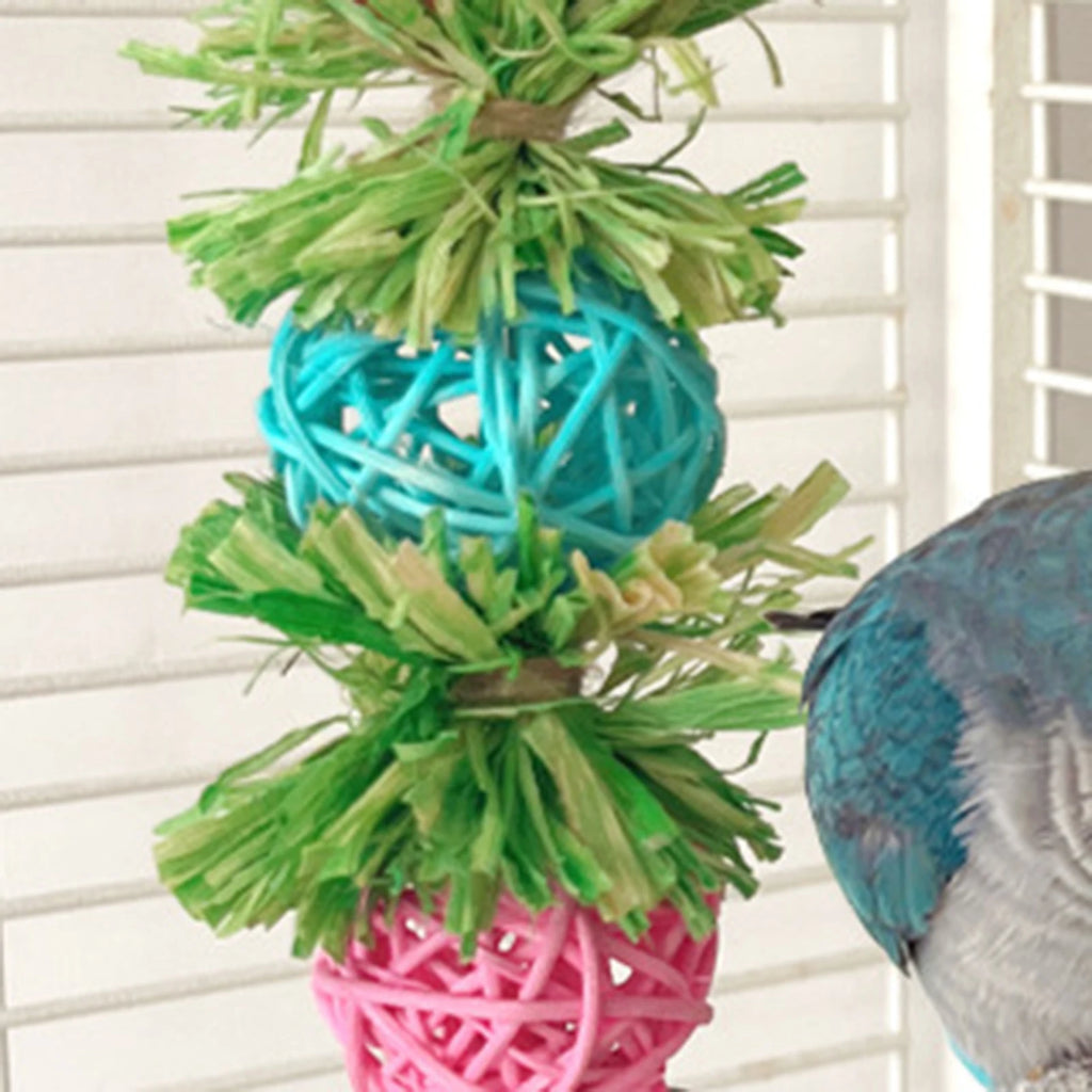 Natural Corn Husk Ball & Cob Foraging Toy — Bird Chew Toy