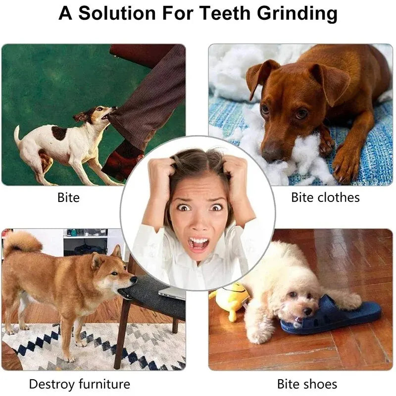 Treat Trap Chew Ball