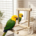 Look Who's Talking Bird Mirror with perch