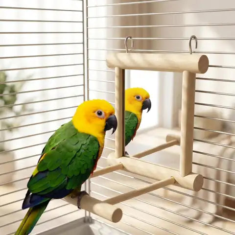 Look Who's Talking Bird Mirror with perch