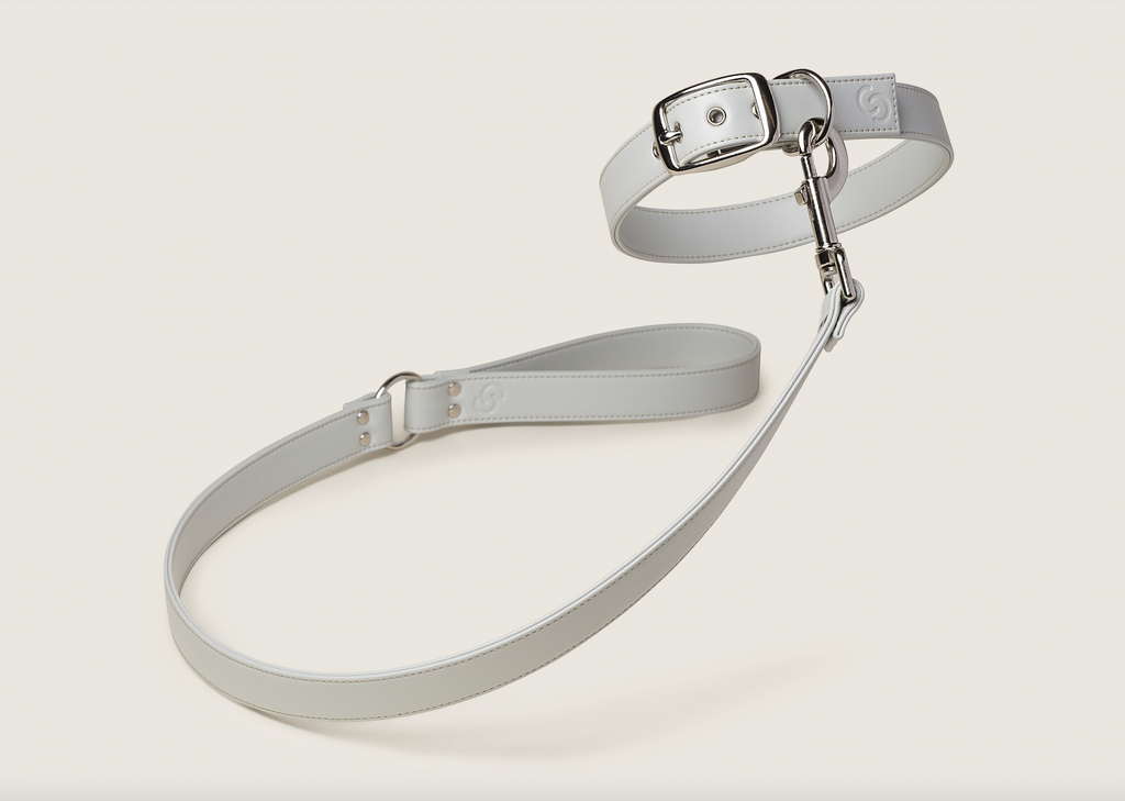 Ice Blue Vegan Apple Leather Dog Collar, PETA-approved vegan leather collar