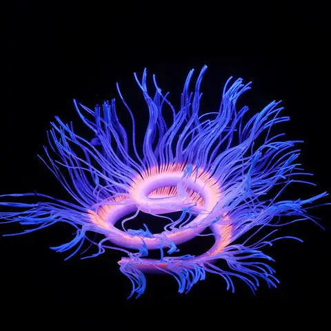 Glow Reef silicone coral ornament