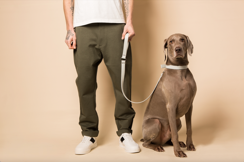 Ice Blue Vegan Apple Leather Dog Collar, PETA-approved vegan leather collar