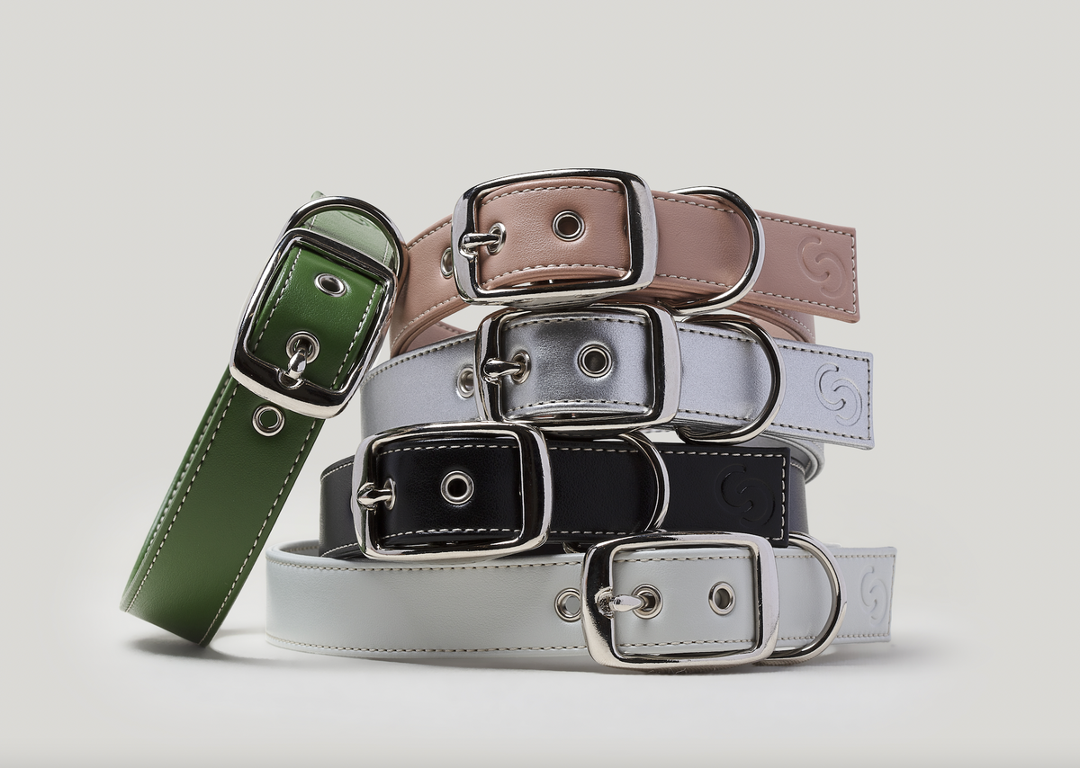 Ice Blue Vegan Apple Leather Dog Collar, PETA-approved vegan leather collar
