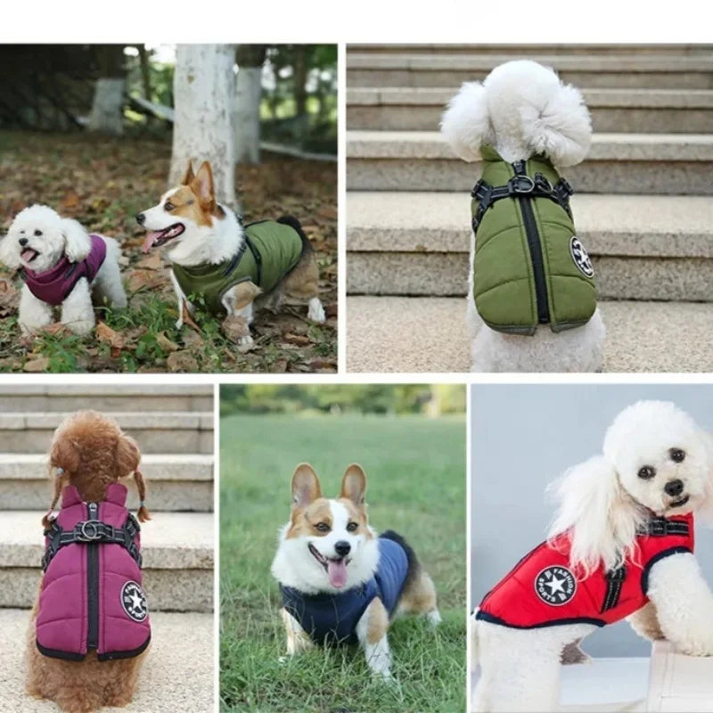 Winter Dog Coat with Built-In Harness