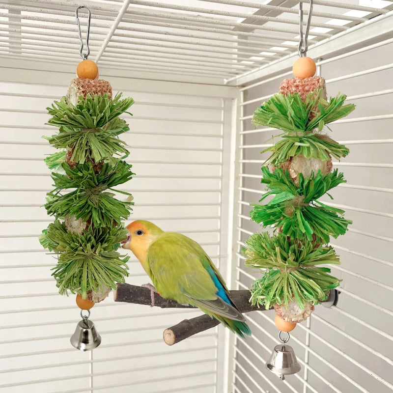 Natural Corn Husk Ball & Cob Foraging Toy — Bird Chew Toy