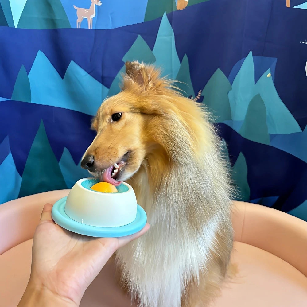 Freeze & Please Lick Plate