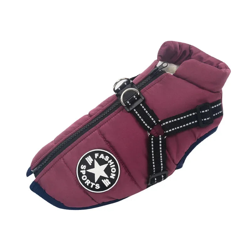 Winter Dog Coat with Built-In Harness