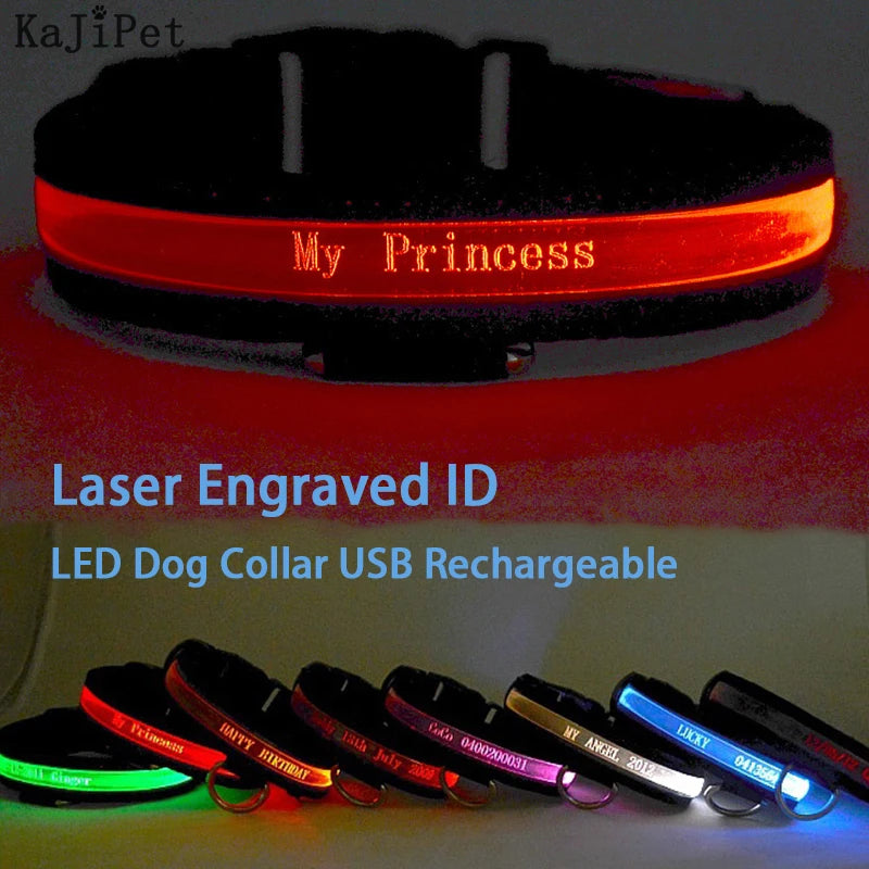 Personalised LED Dog Collar